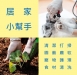 PVC無粉手套